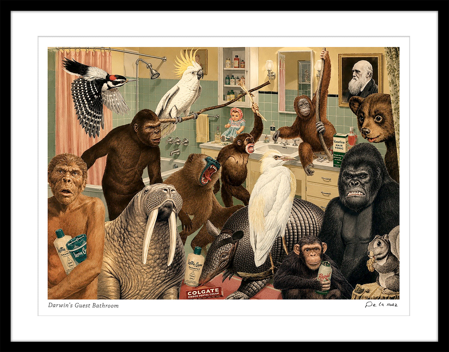 Darwin's Guest Bathroom Print