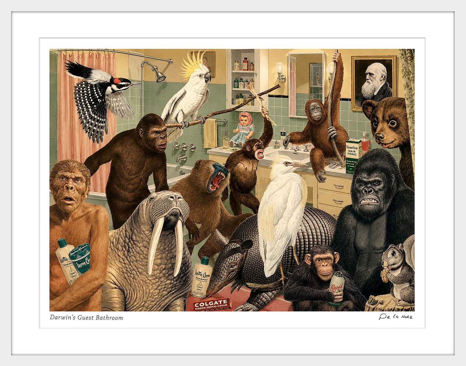 Darwin's Guest Bathroom Print