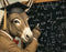Nelson De La Nuez Smart-Ass Print The Museum of Humor Art MOHA Donkey Animal School College Graduate Mathematics Chalkboard