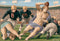 Nelson De La Nuez The Sistine Yard Rush Print MOHA Museum of Humor Art Religion Football Sports  