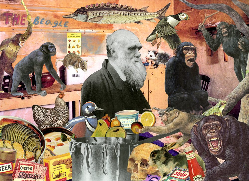 Darwin kitchen animals science history nelson de la nuez humor art museum moha