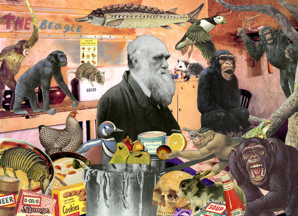 Darwin kitchen animals science history nelson de la nuez humor art museum moha